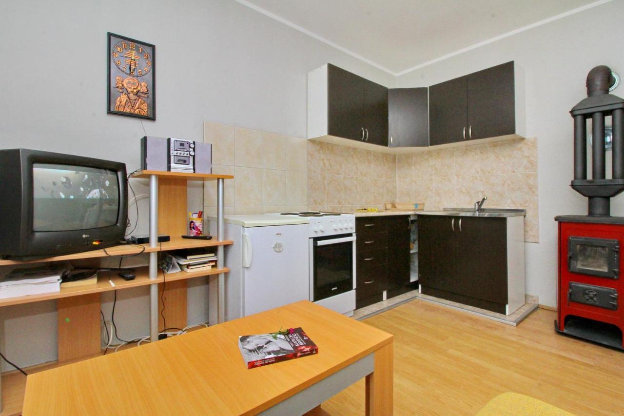 Tara Lake Apartments Jevtici Extérieur photo