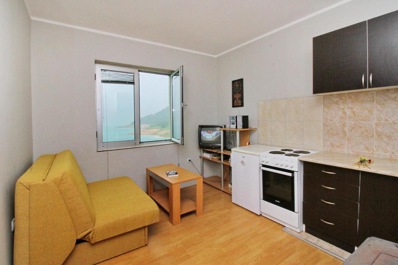 Tara Lake Apartments Jevtici Extérieur photo